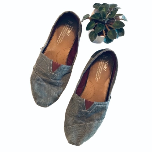 Toms Shoes - 🔴4 for 25🔴 Toms Gray and Purple Mustache Embroidered Flats